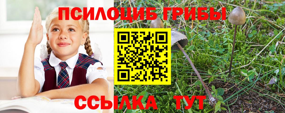 Белорецк  Галлюциногенные грибы мухоморы  Галлюциногенные грибы GOLDEN TEACHER  Вход с VPN 